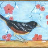 Spotted-Towhee