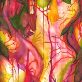 Bat_in_Candy_Cave