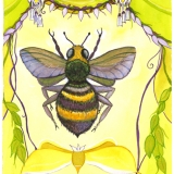 Royal-Bee