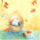 Blue-Nest-with-Acorns